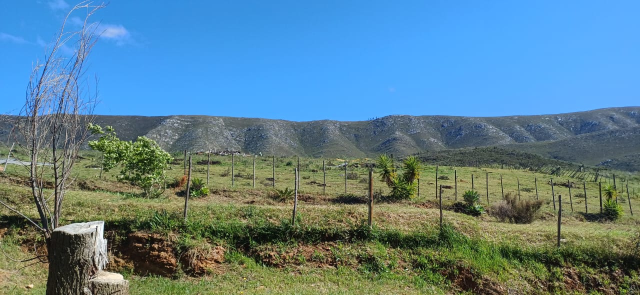 Commercial Property for Sale in George Rural Western Cape